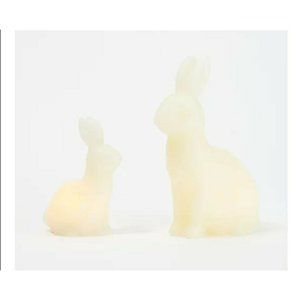 Candle Impressions Set of 2 Illuminated Wax Bunnies, Cream